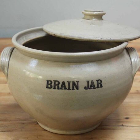 Vintage|Apothecary|brain jar|collectibles|curiosities
